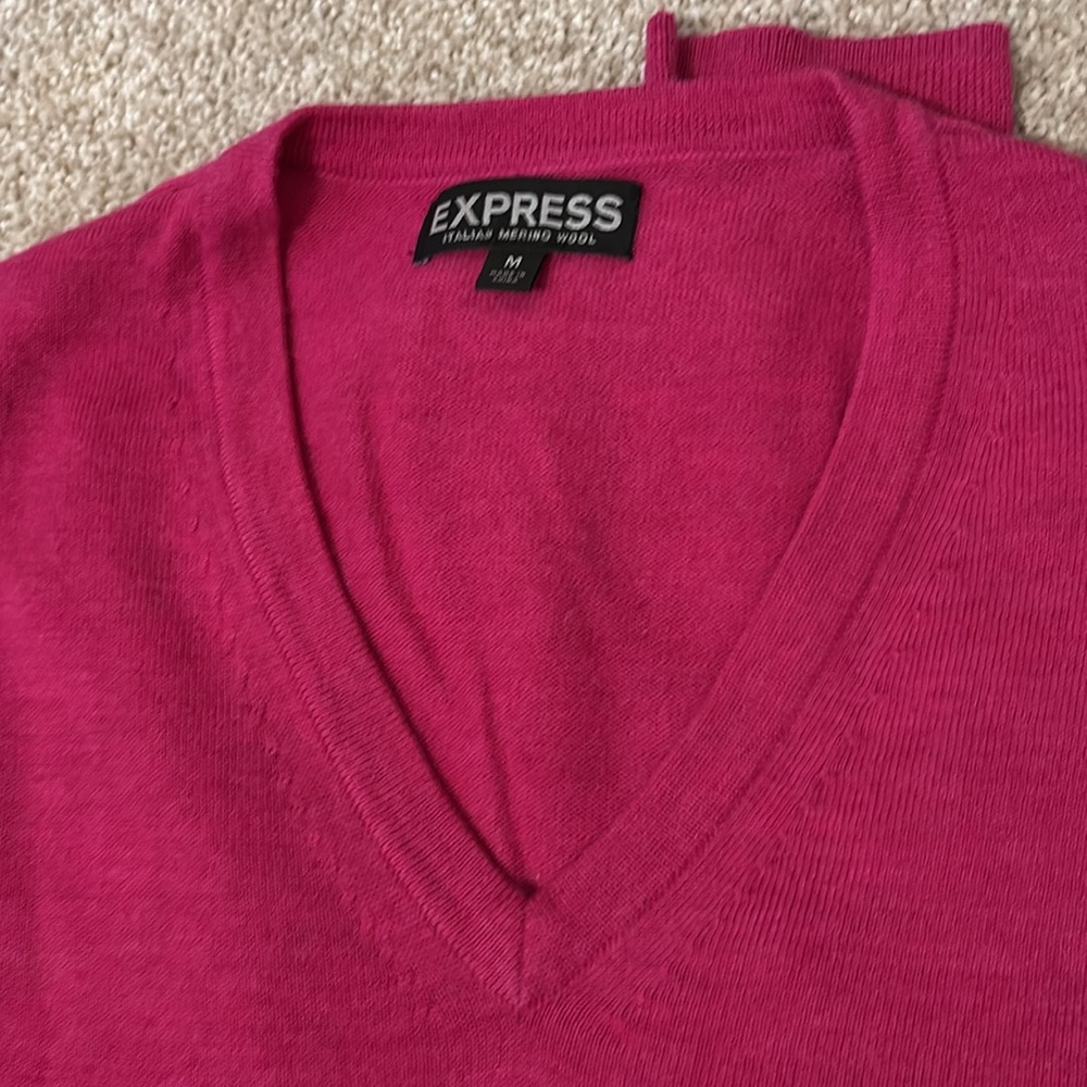 Three Express V Neck Sweaters - image 7